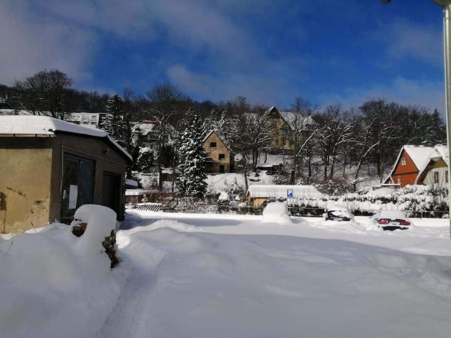 Guenstige, Schoene Ferienwohnung Im Wanderparadies ヴェルニゲローデ エクステリア 写真